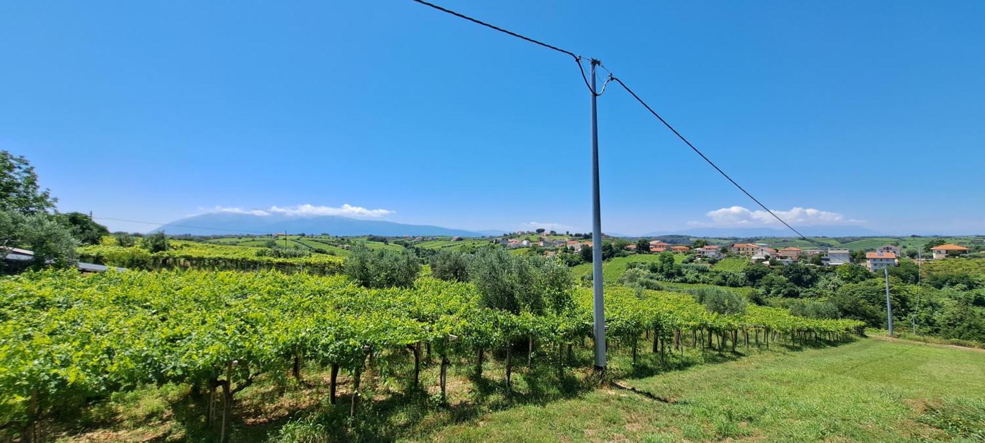 B & B Le Tre Rose Tollo Exterior foto